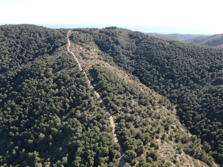 Santa Magdalena de Pulpis